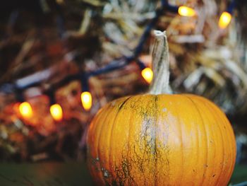 Close-up of pumpkin against blurred background