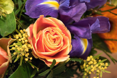 Close-up of rose bouquet