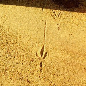 Full frame shot of sand