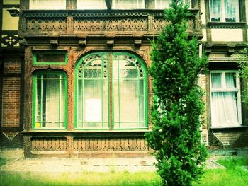 House with trees in background