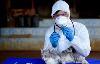 Veterinarians wear ppe for canine distempervirus  vaccine. cats and dogs, veterinary medicine.