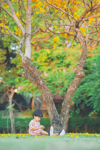 Rear view of woman standing in park