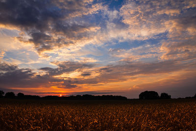 Scenic view of field against sky during sunset