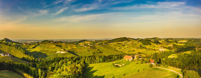 Scenic view of field against sky during sunset. vineyards in austria 