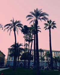 Palm trees on street in city against sky