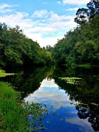 Scenic view of lake by trees against sky