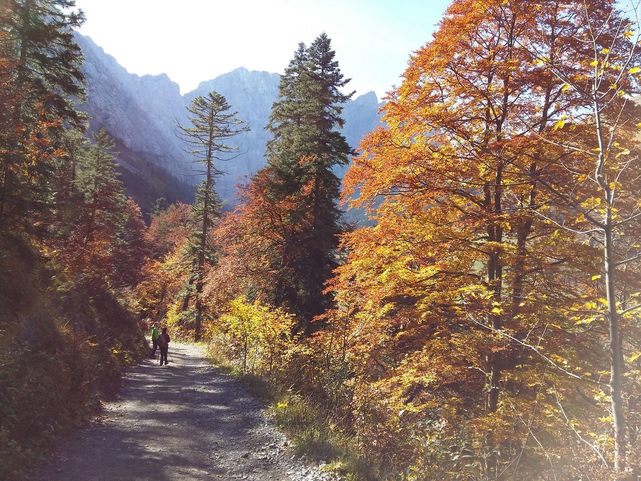 Herbst in den Bergen