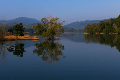 Scenic view of lake by trees against sky