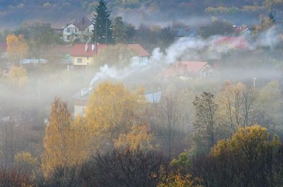 Panoramic view of trees and buildings during foggy weather