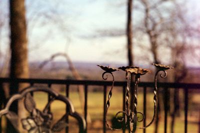 Close-up of metal gate against sky