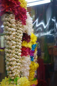 Close-up of multi colored flowers for sale in market