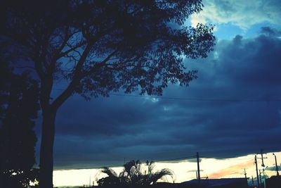 Low angle view of tree against cloudy sky