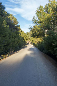 Empty road amidst trees against sky