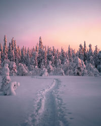 Scenic view of snow covered landscape against sky during sunset