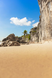 The lonely beach at the world famous tulum ruins in tulum mexico with waving palmtrees and  sand