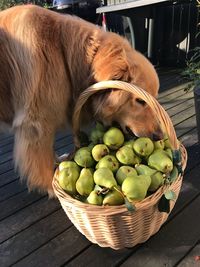 High angle view of apples in basket on table