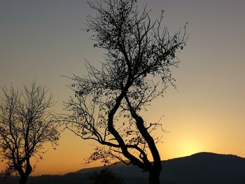 Silhouette bare tree against sky during sunset