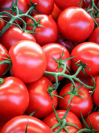 Full frame shot of tomatoes at market for sale