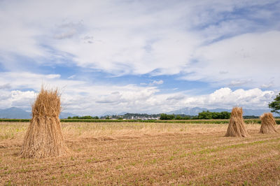 Hay bales on field against sky