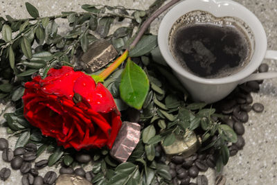 Close-up of red flowers