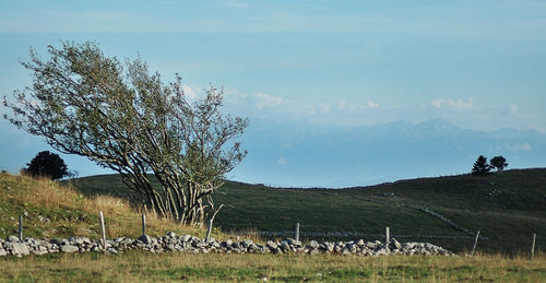 Scenic view of landscape against sky
