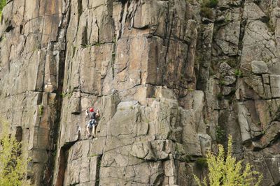 Rear view of person climbing on rock