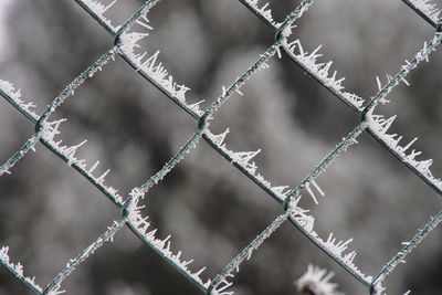 Full frame shot of chainlink fence during winter