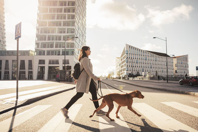 Side view of woman crossing road with dog on road in sunlight