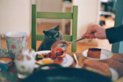 Midsection of woman eating food at home