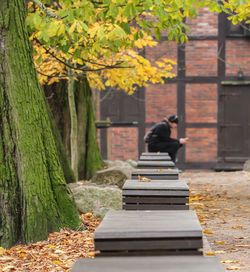 Rear view of woman with umbrella walking on sidewalk during autumn