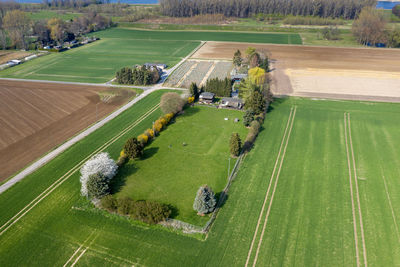 High angle view of vineyard against clear sky