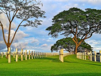 Trees in cemetery against sky