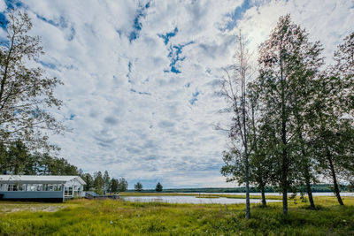 Trees on field against sky