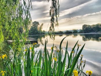 Scenic view of lake against sky