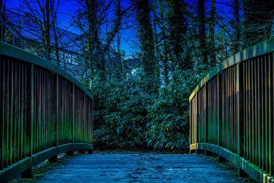 View of bridge in forest