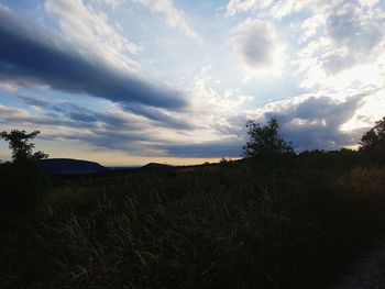 Scenic view of field against sky at sunset