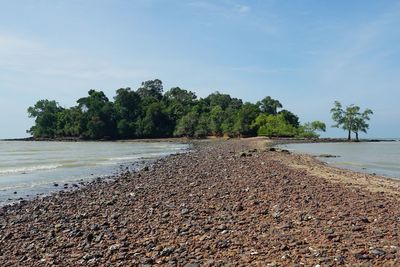 Scenic view of beach against sky