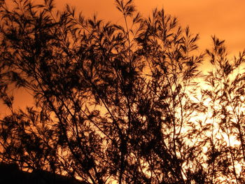 Low angle view of silhouette trees against romantic sky