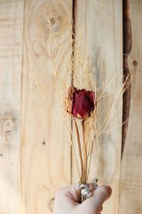 Cropped image of person holding dried rose against wooden wall