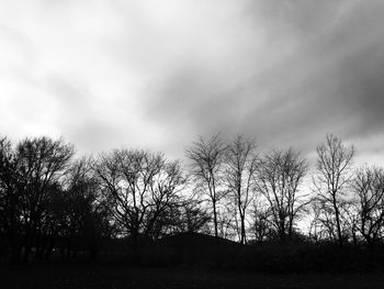 Bare trees on landscape against cloudy sky