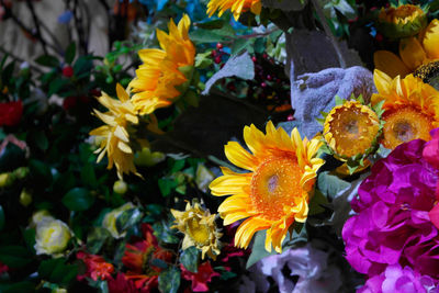 Close-up of multi colored flowers blooming in market