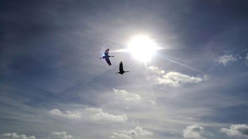 Low angle view of silhouette airplane flying against sky