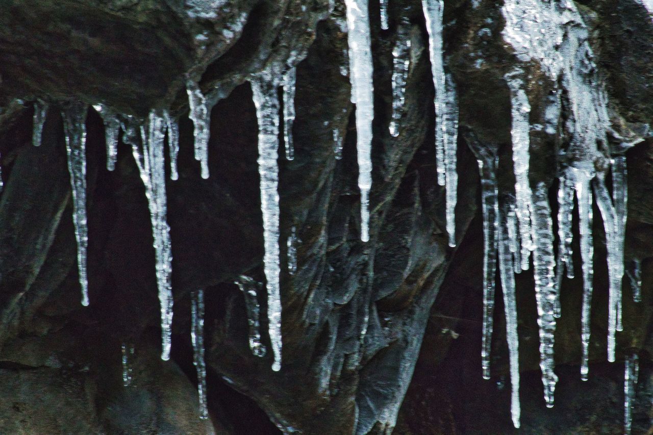 FULL FRAME SHOT OF ICICLES HANGING ON TREE TRUNK