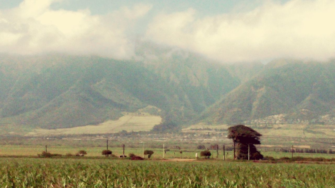 landscape, tranquil scene, mountain, tranquility, scenics, sky, grass, beauty in nature, field, nature, mountain range, rural scene, non-urban scene, cloud - sky, agriculture, countryside, cloud, idyllic, remote, farm