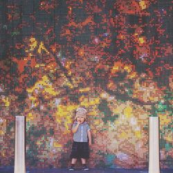Cute boy standing against mosaic wall