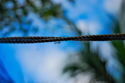 Low angle view of fence against blue sky