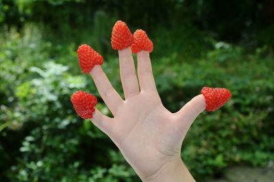 Close-up of hand holding strawberry