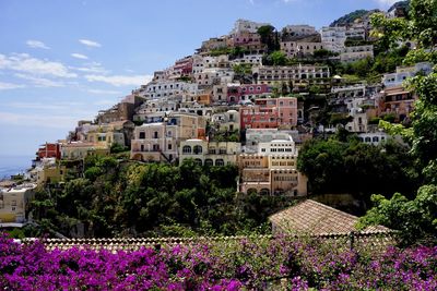 View of flowering plants and buildings in town against sky