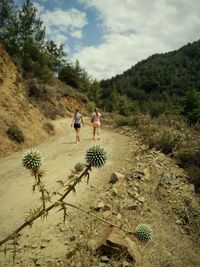 Close-up of plant by women walking on mountain road against sky