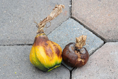 High angle view of rotten pumpkins on street